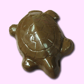 chocturtle