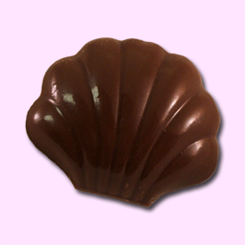 plainshell