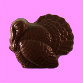 thanksgivingturkeylolli